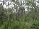 Photo - Lot 125 Seabreeze Court, Deepwater QLD 4674 - Image 7