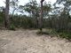 Photo - Lot 125 Seabreeze Court, Deepwater QLD 4674 - Image 13