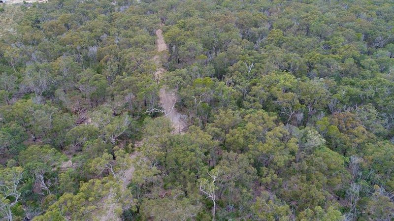 Photo - Lot 125 Seabreeze Court, Deepwater QLD 4674 - Image 16