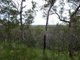 Photo - Lot 125 Seabreeze Court, Deepwater QLD 4674 - Image 18