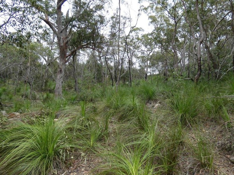 Photo - Lot 125 Seabreeze Court, Deepwater QLD 4674 - Image 19