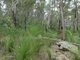 Photo - Lot 125 Seabreeze Court, Deepwater QLD 4674 - Image 20