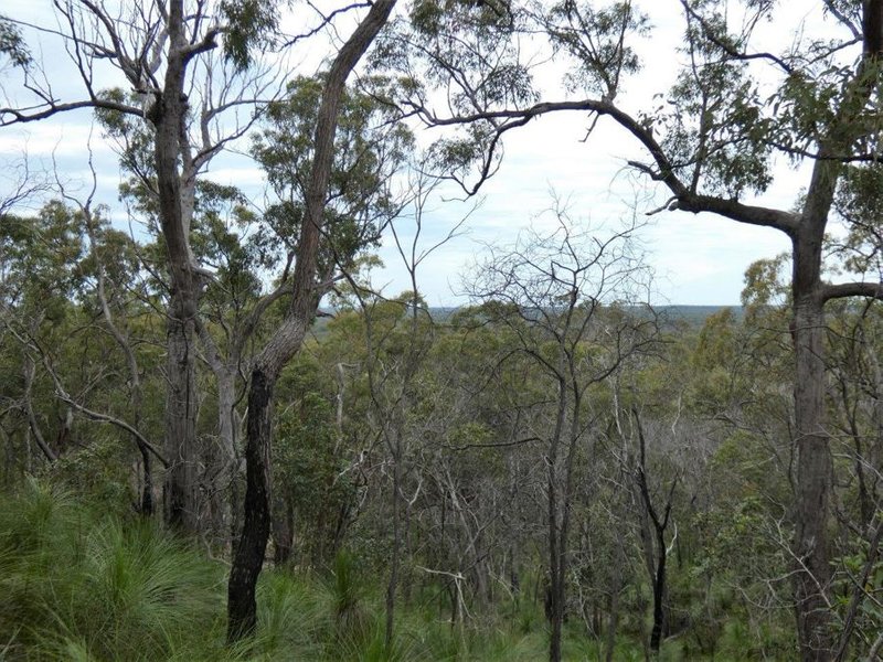 Photo - Lot 125 Seabreeze Court, Deepwater QLD 4674 - Image 21