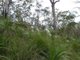 Photo - Lot 125 Seabreeze Court, Deepwater QLD 4674 - Image 22