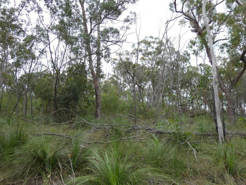 Photo - Lot 125 Seabreeze Court, Deepwater QLD 4674 - Image 25