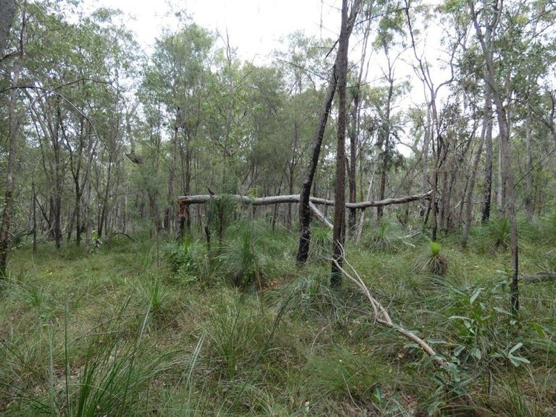 Photo - Lot 125 Seabreeze Court, Deepwater QLD 4674 - Image 26