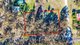 Photo - Lot 13 & 14/Vincent Street, Capertee NSW 2846 - Image 3