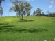 Photo - Lot 13 Bruce Highway, Bloomsbury QLD 4799 - Image 2