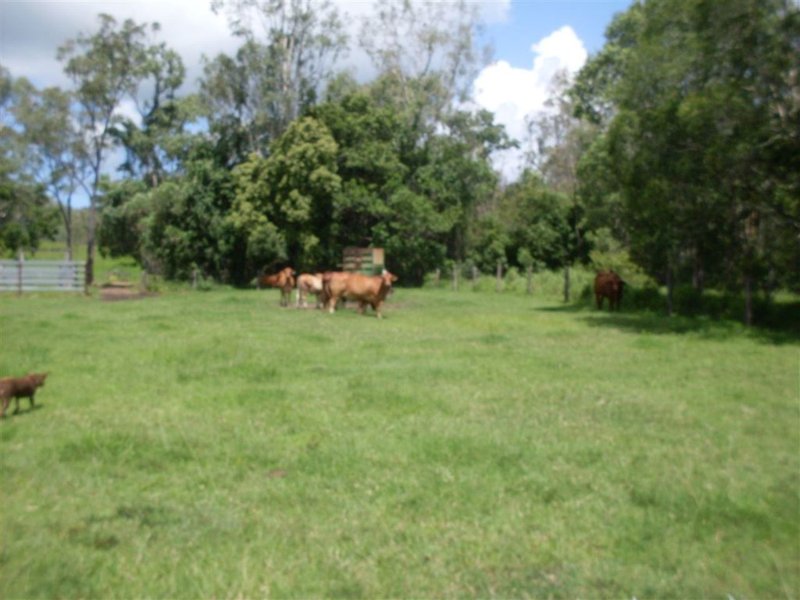 Photo - Lot 13 Bruce Highway, Bloomsbury QLD 4799 - Image 14