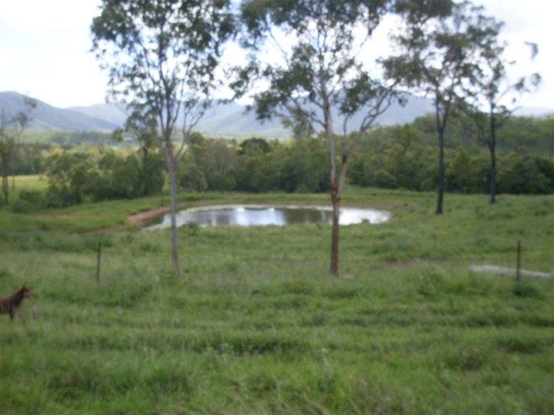 Photo - Lot 13 Bruce Highway, Bloomsbury QLD 4799 - Image 20