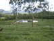 Photo - Lot 13 Bruce Highway, Bloomsbury QLD 4799 - Image 20