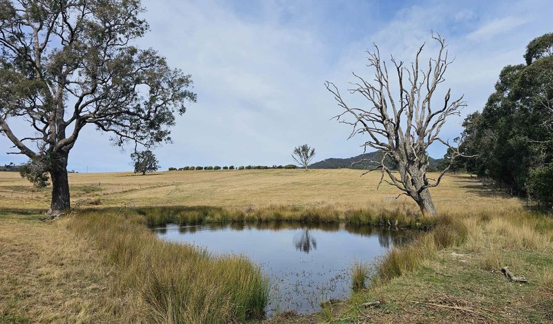 Lot 13 Dp1102840 Slaters Lane, Candelo NSW 2550