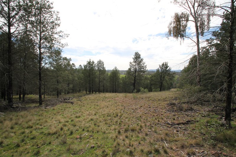 Photo - Lot 13 Grandview Place, Quirindi NSW 2343 - Image 2