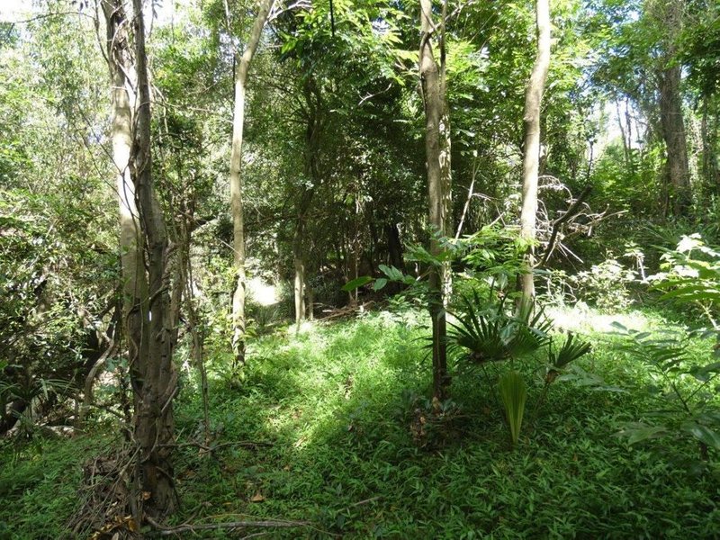 Photo - Lot 13 Lowmead Road, Lowmead QLD 4676 - Image 2