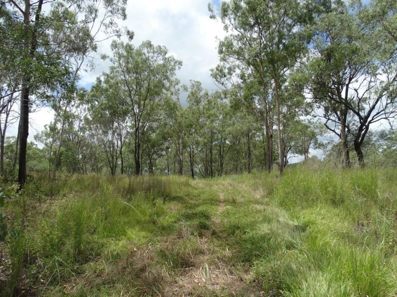 Photo - Lot 13 Lowmead Road, Lowmead QLD 4676 - Image 4