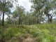 Photo - Lot 13 Lowmead Road, Lowmead QLD 4676 - Image 4