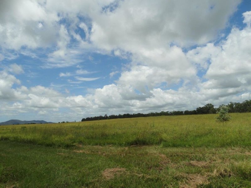 Photo - Lot 13 Lowmead Road, Lowmead QLD 4676 - Image 12