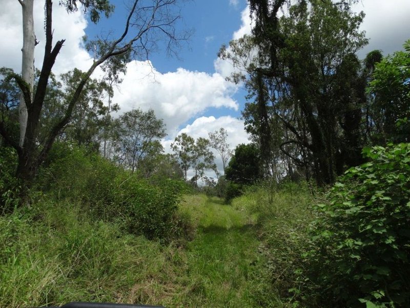 Photo - Lot 13 Lowmead Road, Lowmead QLD 4676 - Image 15