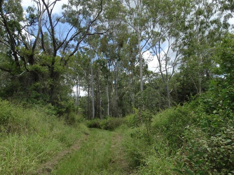 Photo - Lot 13 Lowmead Road, Lowmead QLD 4676 - Image 16