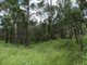 Photo - Lot 13 Lowmead Road, Lowmead QLD 4676 - Image 17