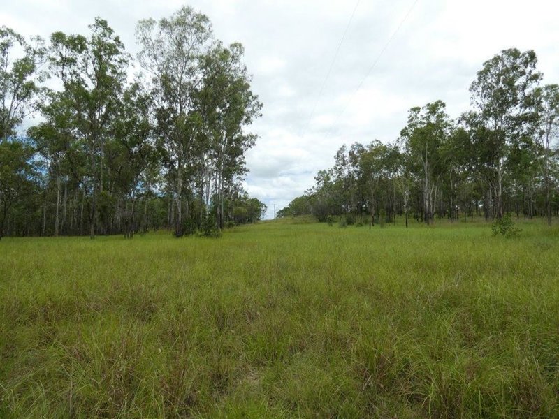 Photo - Lot 13 Lowmead Road, Lowmead QLD 4676 - Image 18