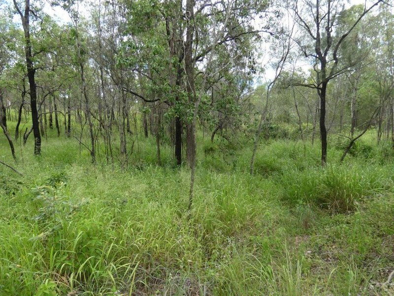 Photo - Lot 13 Lowmead Road, Lowmead QLD 4676 - Image 24