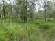 Photo - Lot 13 Lowmead Road, Lowmead QLD 4676 - Image 24