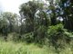 Photo - Lot 13 Lowmead Road, Lowmead QLD 4676 - Image 26