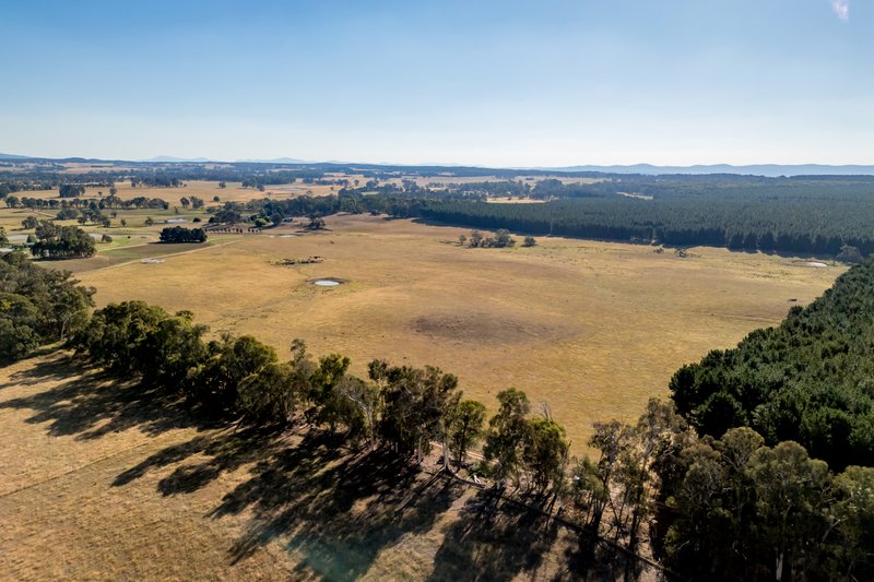 Lot 13 Rosewood Hills Road, Tumbarumba NSW 2653