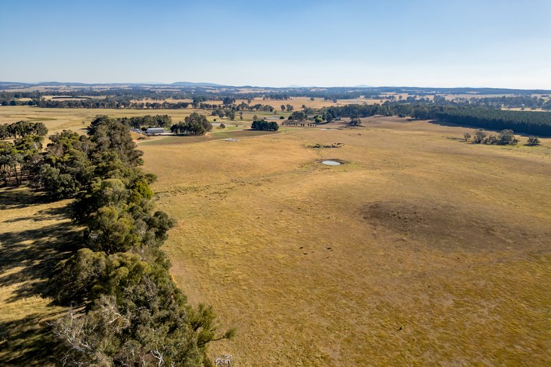 Photo - Lot 13 Rosewood Hills Road, Tumbarumba NSW 2653 - Image 2