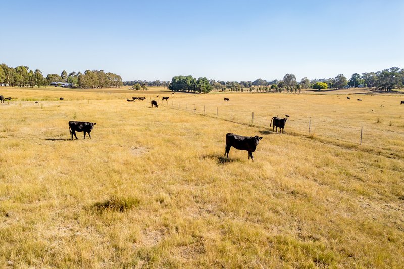 Photo - Lot 13 Rosewood Hills Road, Tumbarumba NSW 2653 - Image 3