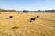 Photo - Lot 13 Rosewood Hills Road, Tumbarumba NSW 2653 - Image 3