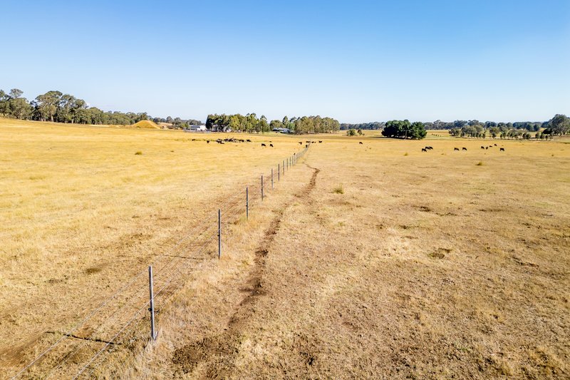 Photo - Lot 13 Rosewood Hills Road, Tumbarumba NSW 2653 - Image 7