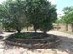 Photo - Lot 130/111 Strickland Road, Adelaide River NT 0846 - Image 5