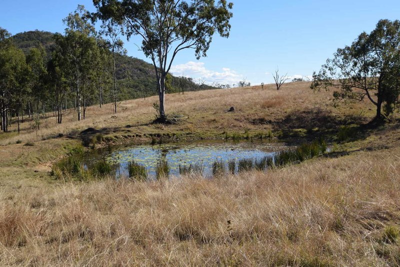 Photo - Lot 131 Falls Road, Glen Esk QLD 4312 - Image 3