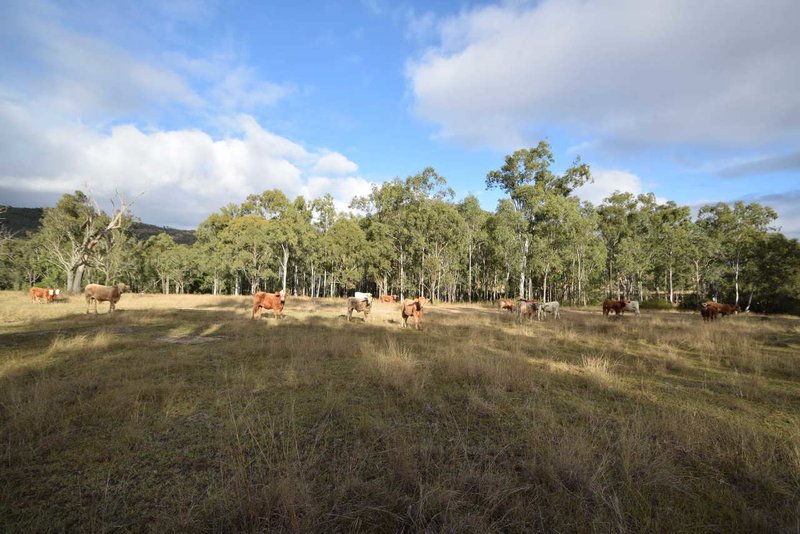 Photo - Lot 131 Falls Road, Glen Esk QLD 4312 - Image 17