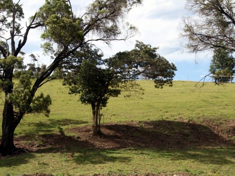 Lot 132 211 Punkalla Tilba Road, Central Tilba NSW 2546