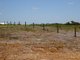 Photo - Lot 132 Wisteria Link, Denmark WA 6333 - Image 3