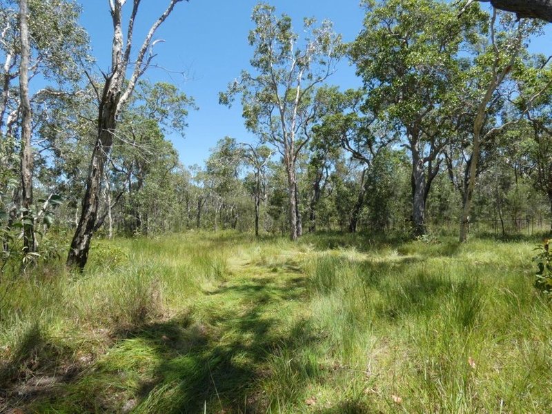 Lot 135 Capricornia Drive, Deepwater QLD 4674