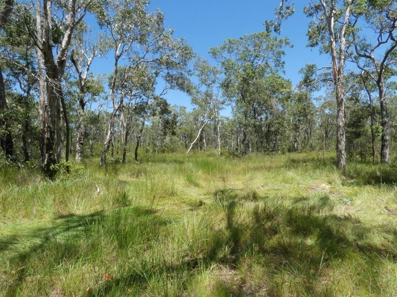 Photo - Lot 135 Capricornia Drive, Deepwater QLD 4674 - Image 2