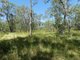 Photo - Lot 135 Capricornia Drive, Deepwater QLD 4674 - Image 4