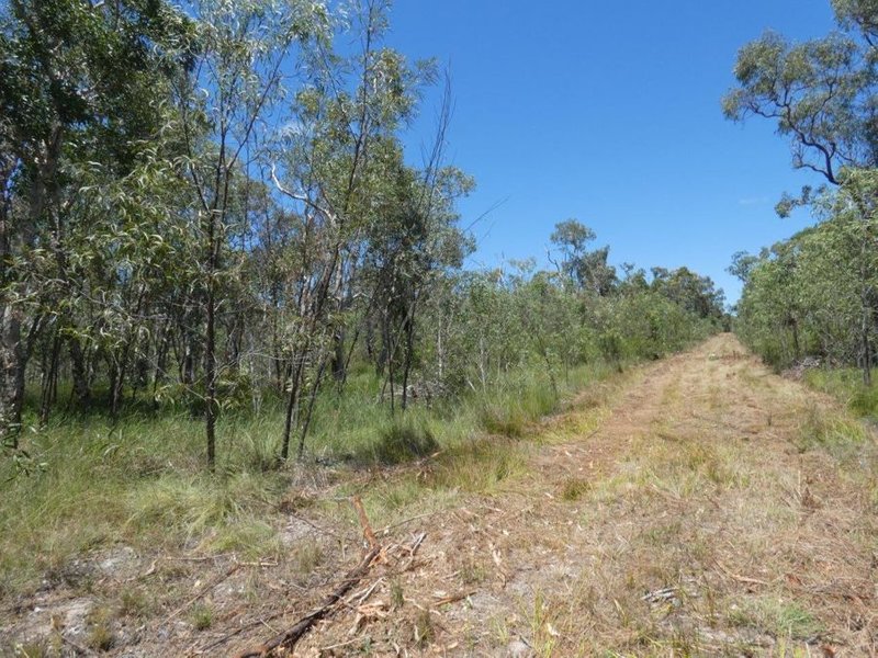 Photo - Lot 135 Capricornia Drive, Deepwater QLD 4674 - Image 5