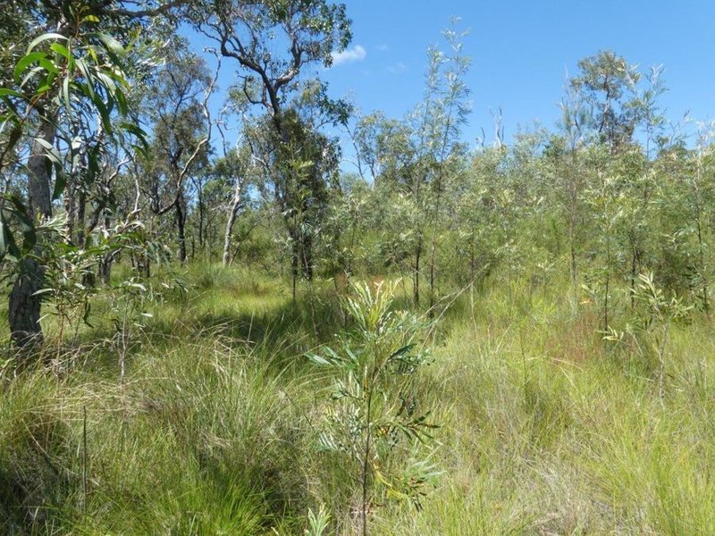 Photo - Lot 135 Capricornia Drive, Deepwater QLD 4674 - Image 6