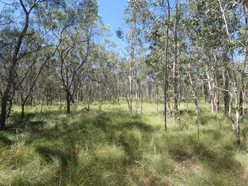 Photo - Lot 135 Capricornia Drive, Deepwater QLD 4674 - Image 8