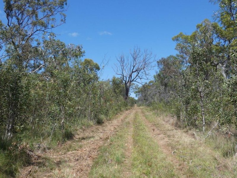 Photo - Lot 135 Capricornia Drive, Deepwater QLD 4674 - Image 10