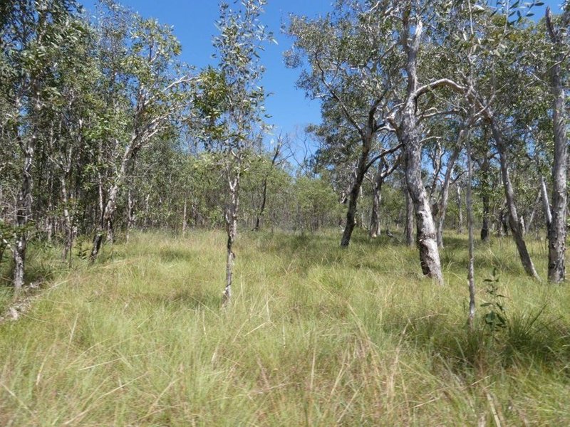 Photo - Lot 135 Capricornia Drive, Deepwater QLD 4674 - Image 12