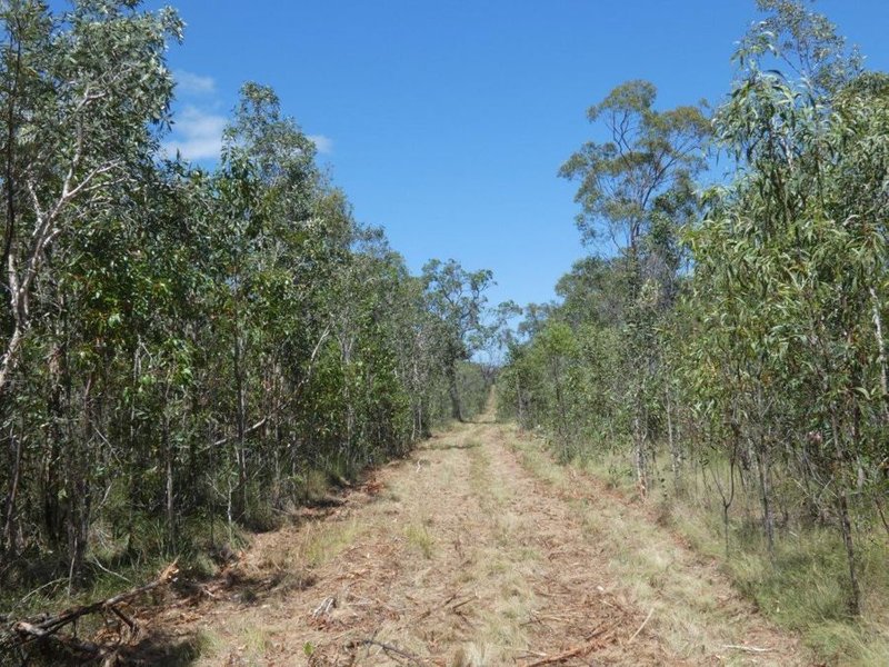 Photo - Lot 135 Capricornia Drive, Deepwater QLD 4674 - Image 14