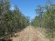 Photo - Lot 135 Capricornia Drive, Deepwater QLD 4674 - Image 14