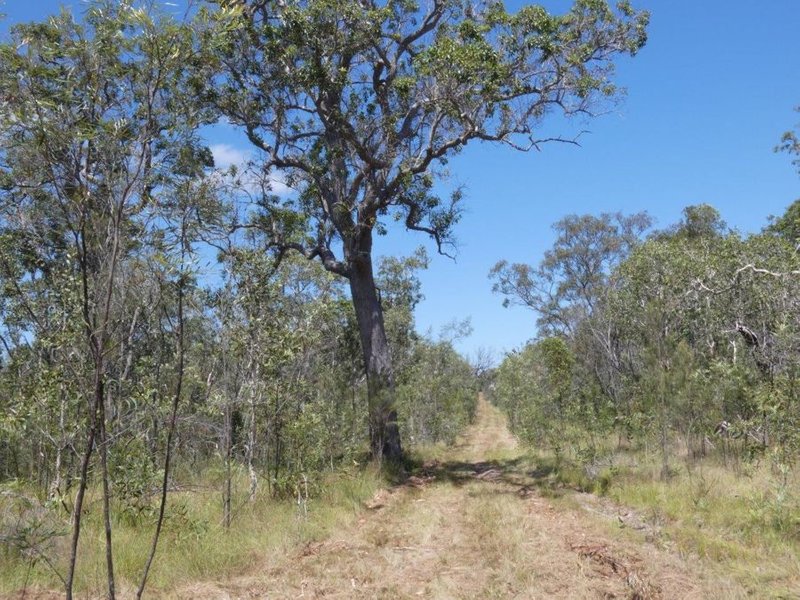 Photo - Lot 135 Capricornia Drive, Deepwater QLD 4674 - Image 15