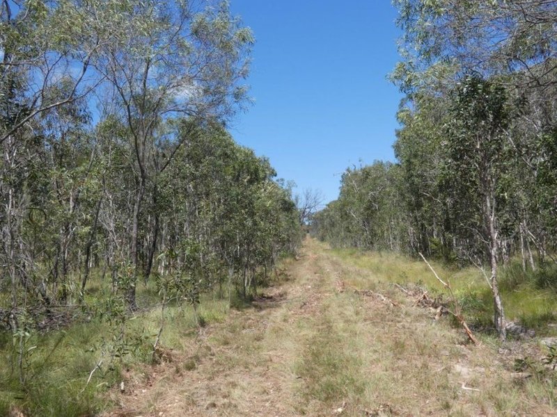 Photo - Lot 135 Capricornia Drive, Deepwater QLD 4674 - Image 16